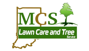 MCS logo